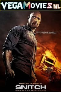 Snitch (2013) Dual Audio [Hindi-English] WeB-DL