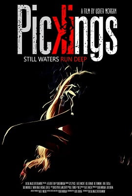 Pickings (2018) Dual Audio {Hindi-English}