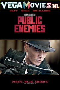 Public Enemies (2009) Dual Audio {Hindi-English}