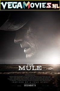 The Mule (2018) English With Subtitles