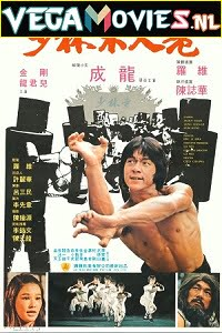 Shaolin Wooden Men (1976) Dual Audio [Hindi-English]