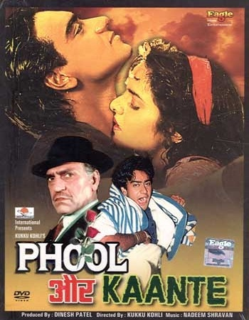 Phool Aur Kaante (1991) Hindi Full Movie WeB-DL