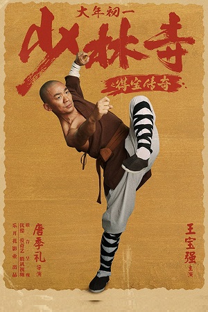 Rising Shaolin: The Protector (2021) HDRip Dual Audio {Hindi-Chinese}