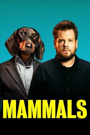 Mammals (2022) Season 1 Dual Audio {Hindi-English} Amazon Prime