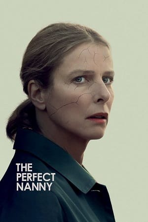 Perfect Nanny (2019) Dual Audio [Hindi - French] WeB-DL