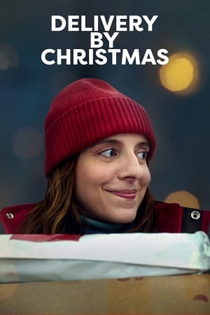 Delivery By Christmas (2022) WEB-DL Dual Audio {Hindi-English}