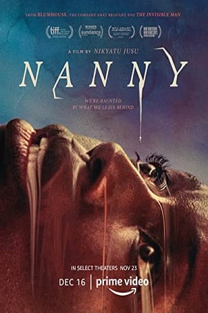 Nanny – Amazon Original (2022) WEB-DL Dual Audio {Hindi-English}