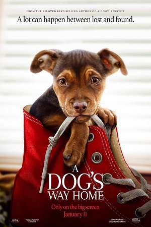 A Dogs Way Home (2019) Dual Audio {Hindi-English}