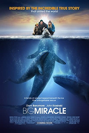 Big Miracle (2012) Dual Audio {Hindi-English}