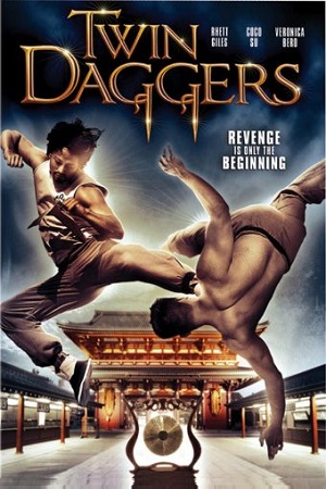 Twin Daggers (2008) Dual Audio {Hindi-English}