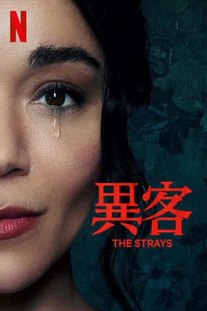 The Strays – Netflix Original (2023) WEB-DL Dual Audio {Hindi-English}