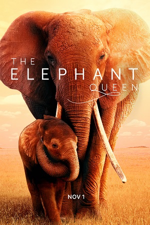 The Elephant Queen (2019) WEB-DL Dual Audio {Hindi-English}