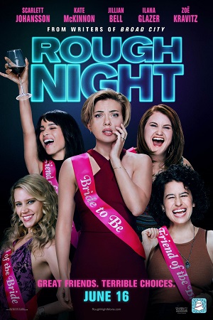 Rough Night (2017) Dual Audio [Hindi - English] WeB-DL