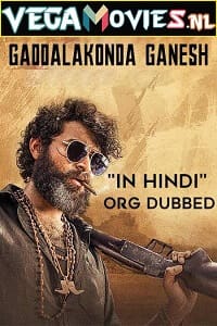 Gaddalakonda Ganesh (2019) WEB-DL [Hindi Dubbed] Full Movie