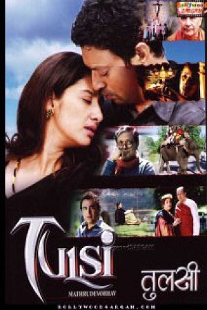 Tulsi (2008) Hindi Full Movie WEB-DL